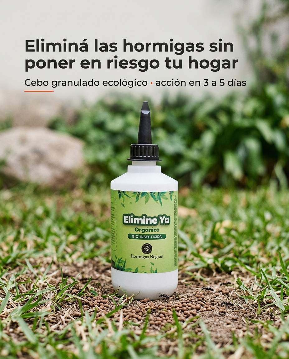 Eliminá las hormigas sin poner en riesgo tu hogar